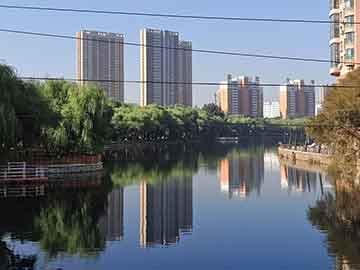 开云体育平台-李娜建议职业选手关注心理建设问题，李娜对抗李娜体现的组织行为学知识点